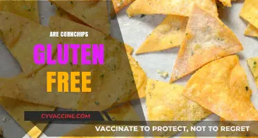 Are Corn Chips Gluten-Free? A Crunchy Snack Fact Check