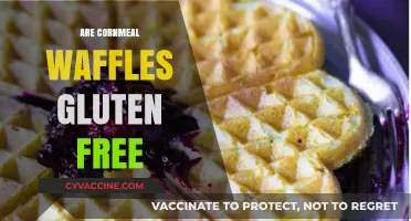 Are Cornmeal Waffles Gluten-Free? A Delicious Breakfast Option Explored