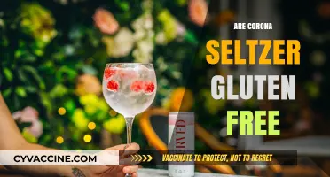 Are Corona Seltzers Gluten-Free? A Complete Guide for Celiac Drinkers