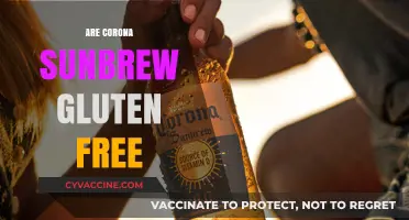 Is Corona Sunbrew Gluten-Free? A Complete Guide for Beer Lovers