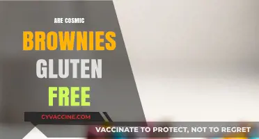 Are Cosmic Brownies Gluten-Free? A Sweet Snack Fact Check