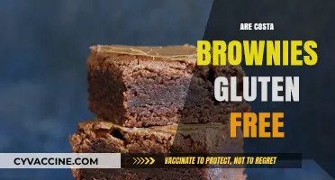 Are Costa Brownies Gluten-Free? A Complete Guide for Brownie Lovers