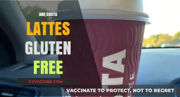 Are Costa Lattes Gluten-Free? A Detailed Look at Ingredients