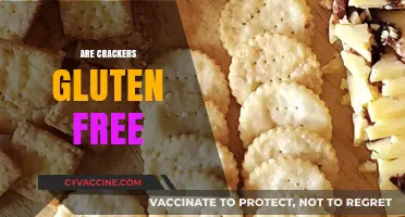 Are Crackers Gluten-Free? Unraveling the Truth for a Healthy Snack