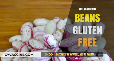 Are Cranberry Beans Gluten-Free? A Nutritional Guide for Celiacs