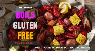 Crawfish Boils and Gluten: What You Need to Know