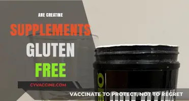 Are Creatine Supplements Gluten-Free? A Comprehensive Guide for Fitness Enthusiasts