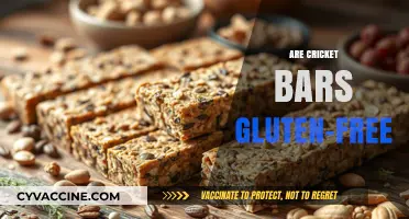 Are Cricket Bars Gluten-Free? A Complete Guide to Ingredients