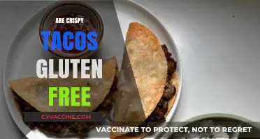 Are Crispy Tacos Gluten-Free? A Crunchy Diet Dilemma Explored