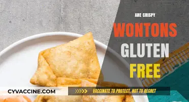 Are Crispy Wontons Gluten-Free? A Crunchy Dietary Dilemma Explored