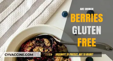 Crunch Berries and Gluten: Are They a Safe Snack Option?