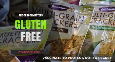 Crunchmaster's Gluten-Free Promise: Are Their Snacks Celiac-Safe?