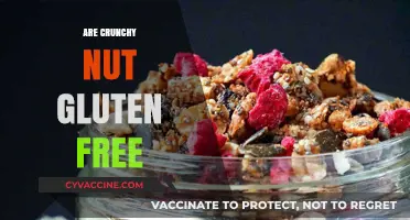 Crunchy Nut Gluten-Free? Unraveling the Truth for Celiac Eaters