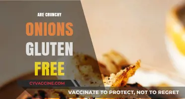Crunchy Onions: Are They Gluten-Free? A Complete Guide