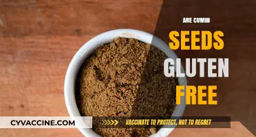 Are Cumin Seeds Gluten Free? A Complete Guide for Celiacs