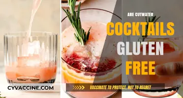 Are Cutwater Cocktails Gluten-Free? A Complete Guide for Drinkers