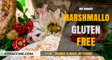 Are Dandies Marshmallows Gluten-Free? A Vegan Snack Guide