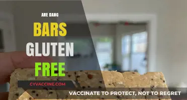 Are Dang Bars Gluten-Free? A Complete Guide to Ingredients
