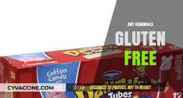 Are Danimals Gluten-Free? A Complete Guide to Their Ingredients