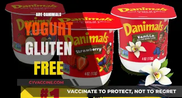 Are Danimals Yogurt Gluten-Free? A Complete Guide for Parents
