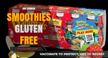 Are Dannon Smoothies Gluten-Free? A Complete Guide for Consumers