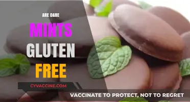 Are Dare Mints Gluten Free? A Comprehensive Guide to Ingredients