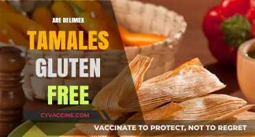 Delimex Tamales: Gluten-Free or Not? A Complete Guide