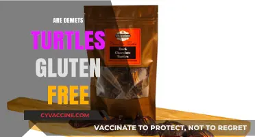 Are Demets Turtles Gluten Free? A Sweet Treat Analysis