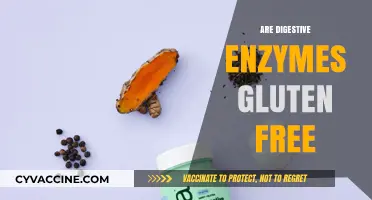 Are Digestive Enzymes Gluten-Free? Understanding Their Role and Safety