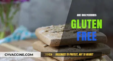 Are Diglycerides Gluten Free? Understanding Food Additives and Celiac Safety