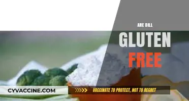 Is Dill Gluten-Free? A Comprehensive Guide to Safe Eating