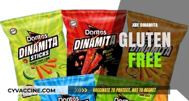 Are Dinamita Gluten Free? A Complete Guide to This Snack