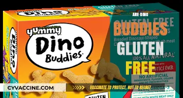 Are Dino Buddies Gluten-Free? A Complete Guide for Parents