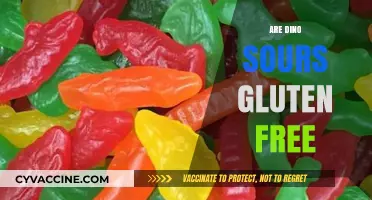 Are Dino Sours Gluten Free? A Sweet Treat Analysis