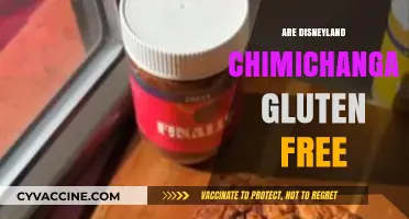 Disneyland Chimichangas: Are They Gluten-Free? Find Out Here!
