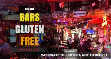 Exploring Dive Bars: Are They Gluten-Free Friendly?