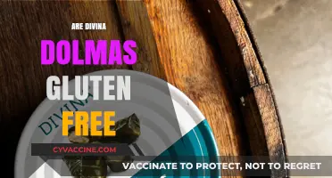 Are Divina Dolmas Gluten Free? A Complete Guide for Food Lovers