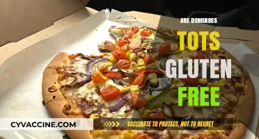 Are Domino's Tots Gluten-Free? A Complete Guide for Celiac Diners