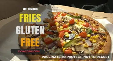 Are Domino's Fries Gluten-Free? A Complete Guide for Celiac Diners