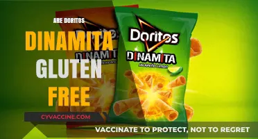 Are Doritos Dinamita Gluten-Free? A Crunchy Snack Fact Check