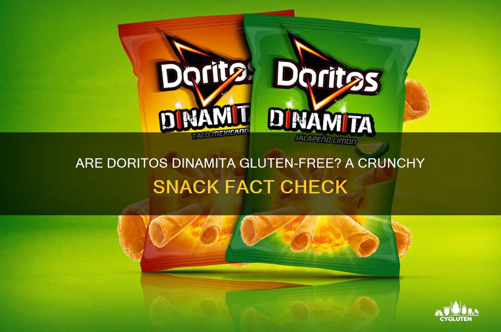 Are Doritos Dinamita Gluten-Free? A Crunchy Snack Fact Check | CyGluten