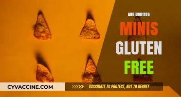 Are Doritos Minis Gluten-Free? A Crunchy Snack Fact Check