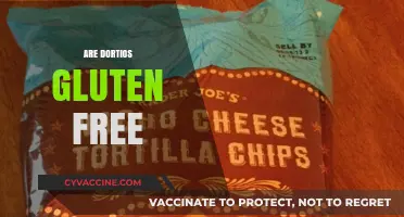 Are Doritos Gluten-Free? Uncovering the Truth About Your Snack