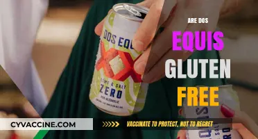 Is Dos Equis Gluten-Free? A Complete Guide for Beer Lovers