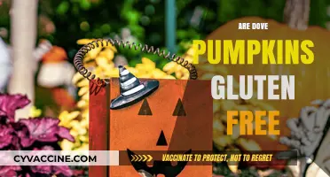 Are Dove Pumpkins Gluten-Free? A Comprehensive Guide for Celiacs
