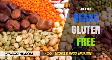 Are Dried Beans Gluten-Free? A Complete Guide for Celiacs