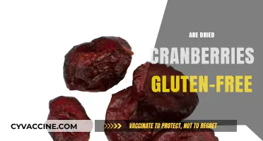 Are Dried Cranberries Gluten-Free? A Clear and Simple Answer