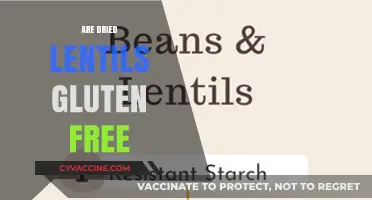 Are Dried Lentils Gluten-Free? A Complete Nutritional Guide