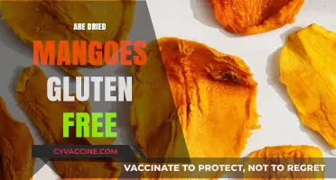 Are Dried Mangoes Gluten-Free? A Complete Nutritional Guide