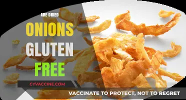Are Dried Onions Gluten-Free? A Comprehensive Guide for Celiacs